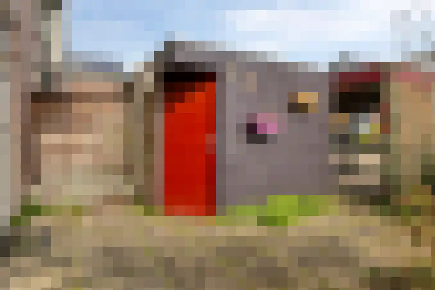 Beukenrode 2 Leiden thumbnail 9