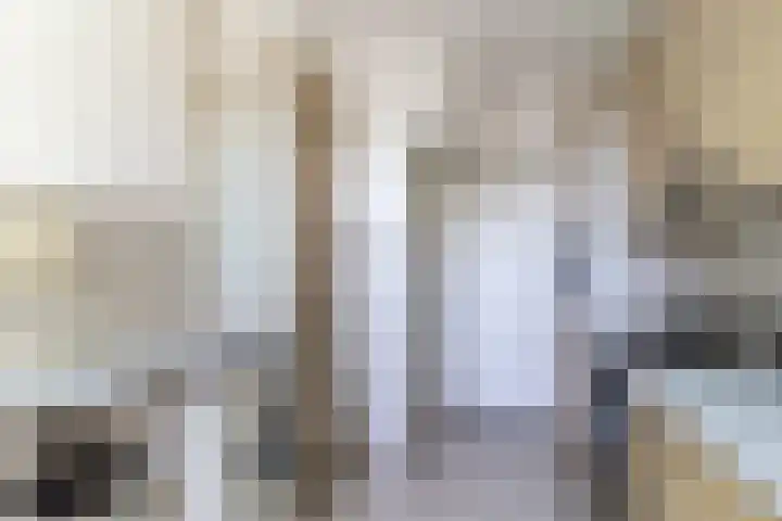 Beukenrode 95 Voorhout thumbnail 11