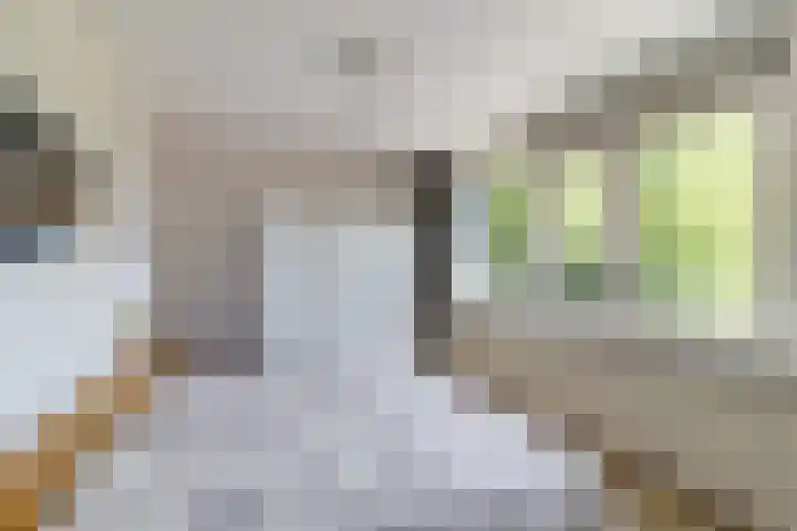 Beukenrode 95 Voorhout thumbnail 15