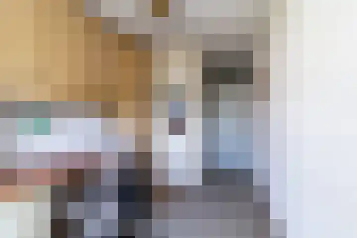 Beukenrode 95 Voorhout thumbnail 20