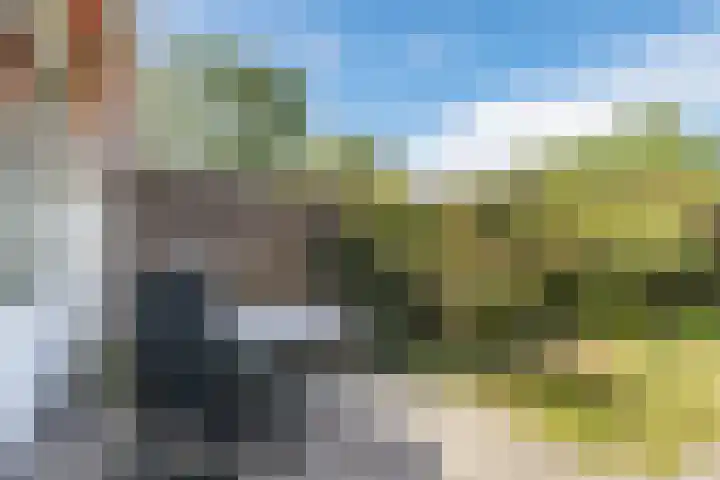 Beukenrode 95 Voorhout thumbnail 30