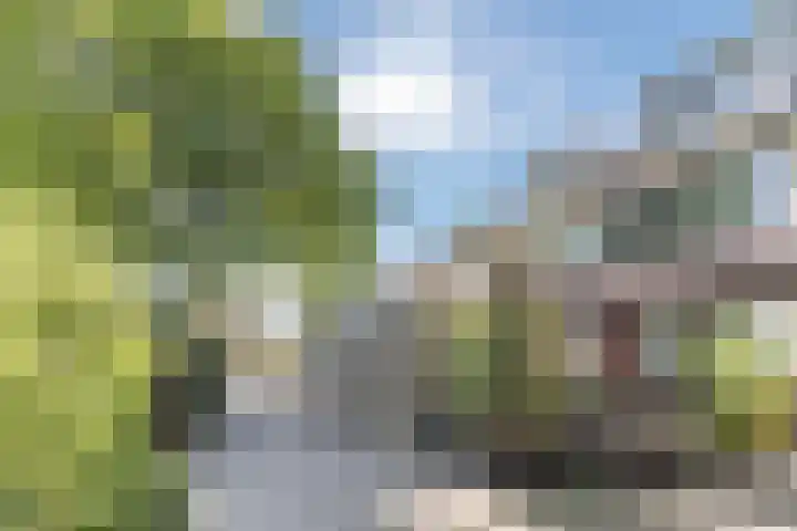 Beukenrode 95 Voorhout thumbnail 32