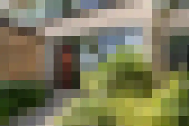 Beukenrode 95 Voorhout thumbnail 33