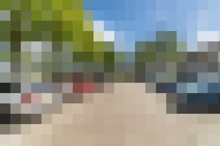 Beukenrode 95 Voorhout thumbnail 34