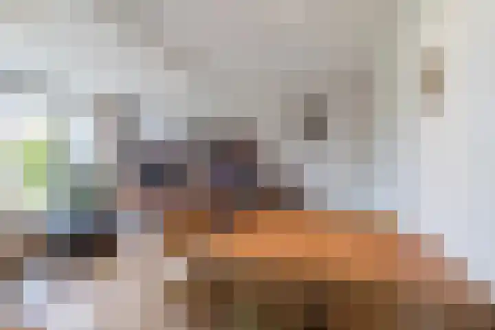 Beukenrode 95 Voorhout thumbnail 6