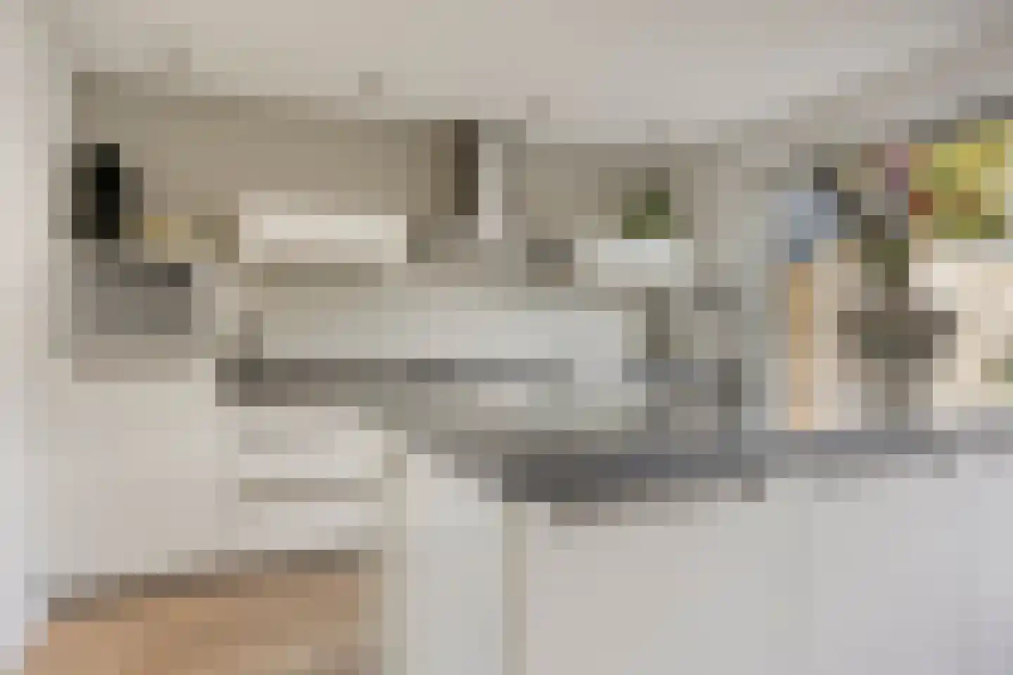 Beukensingel 106 Raalte thumbnail 12