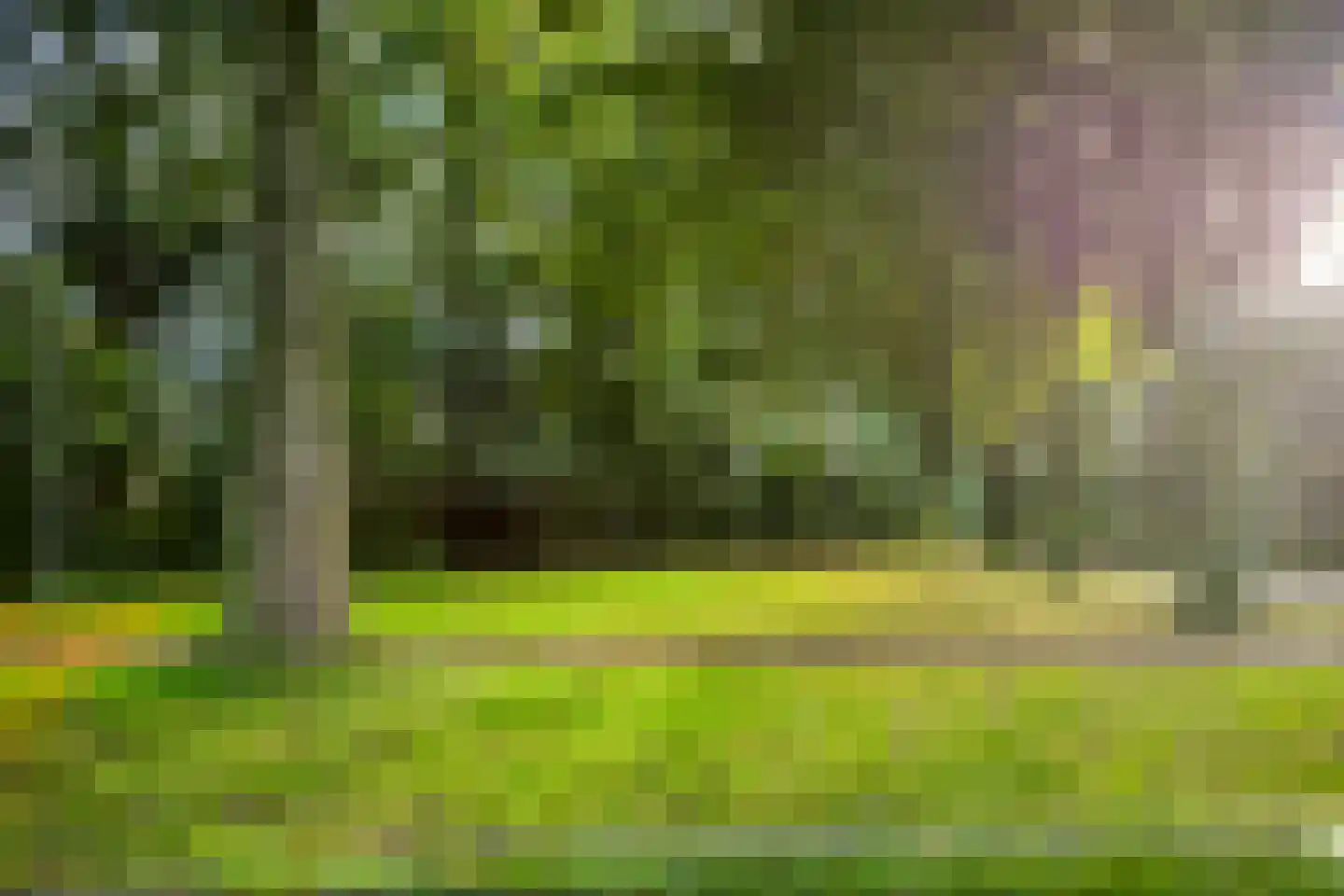 Beukensingel 106 Raalte thumbnail 32