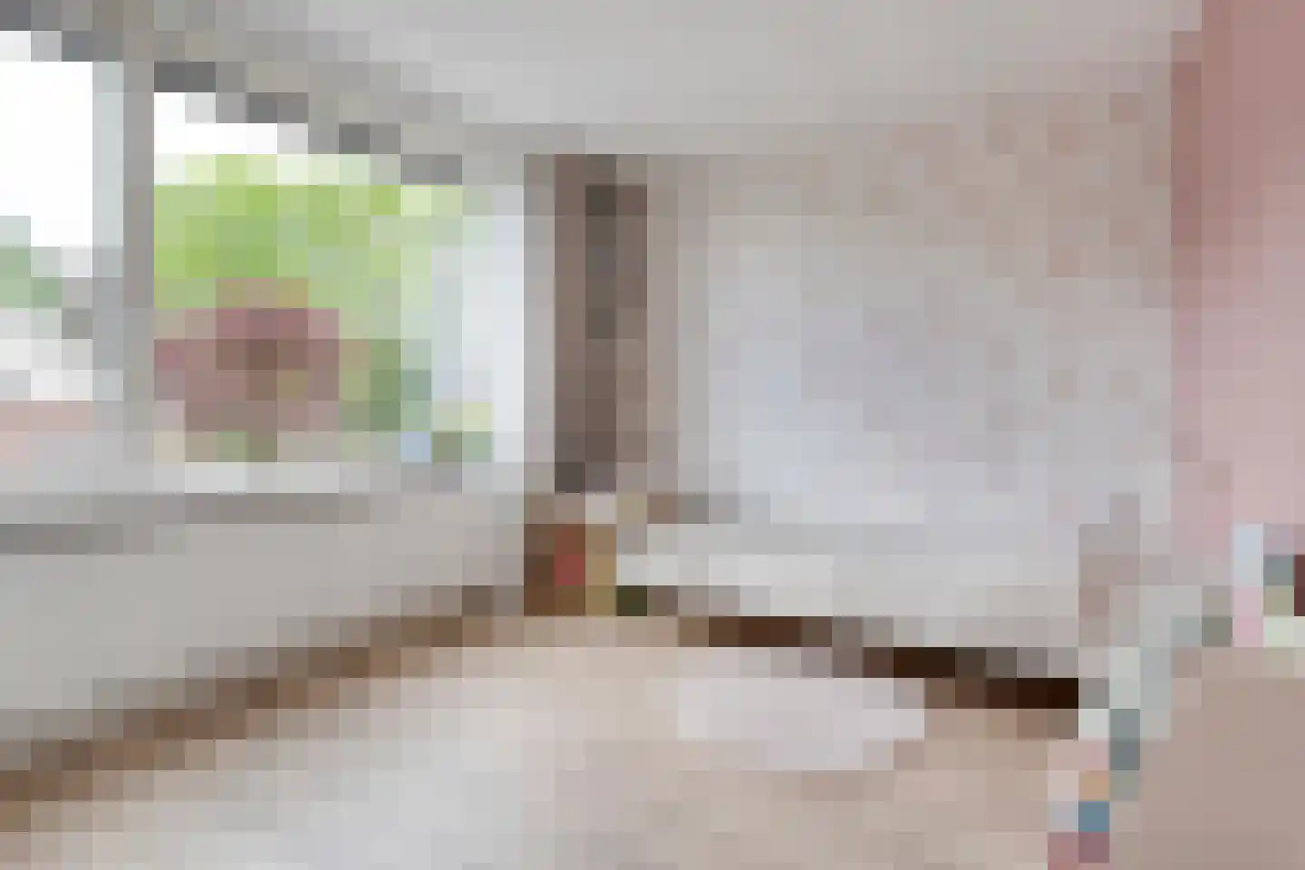 Beukensingel 14 Raalte thumbnail 22