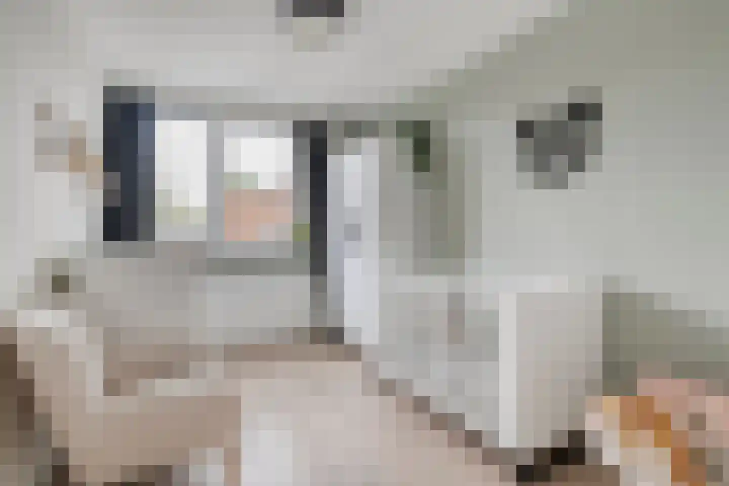 Beukensingel 14 Raalte thumbnail 24