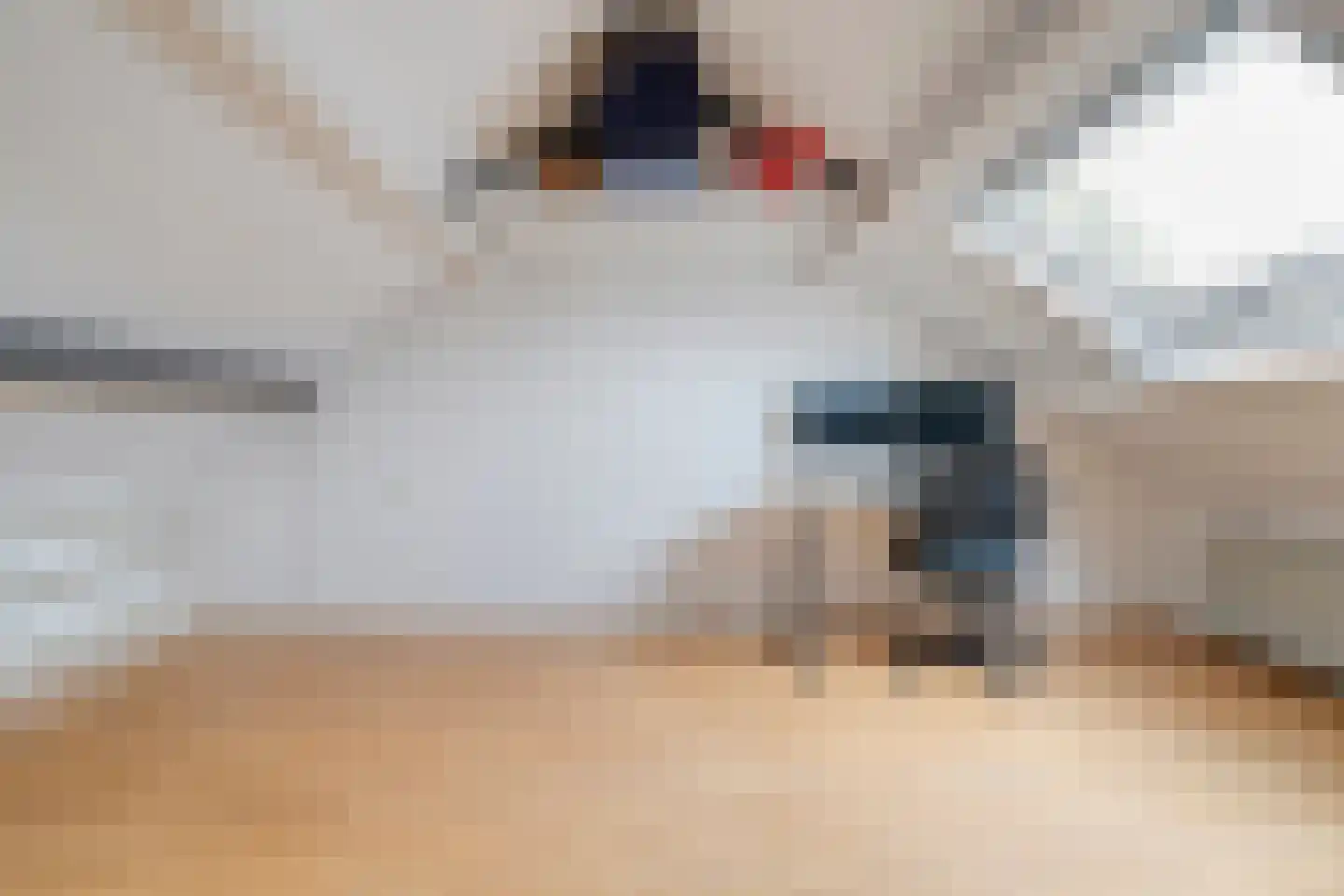 Beukensingel 14 Raalte thumbnail 31