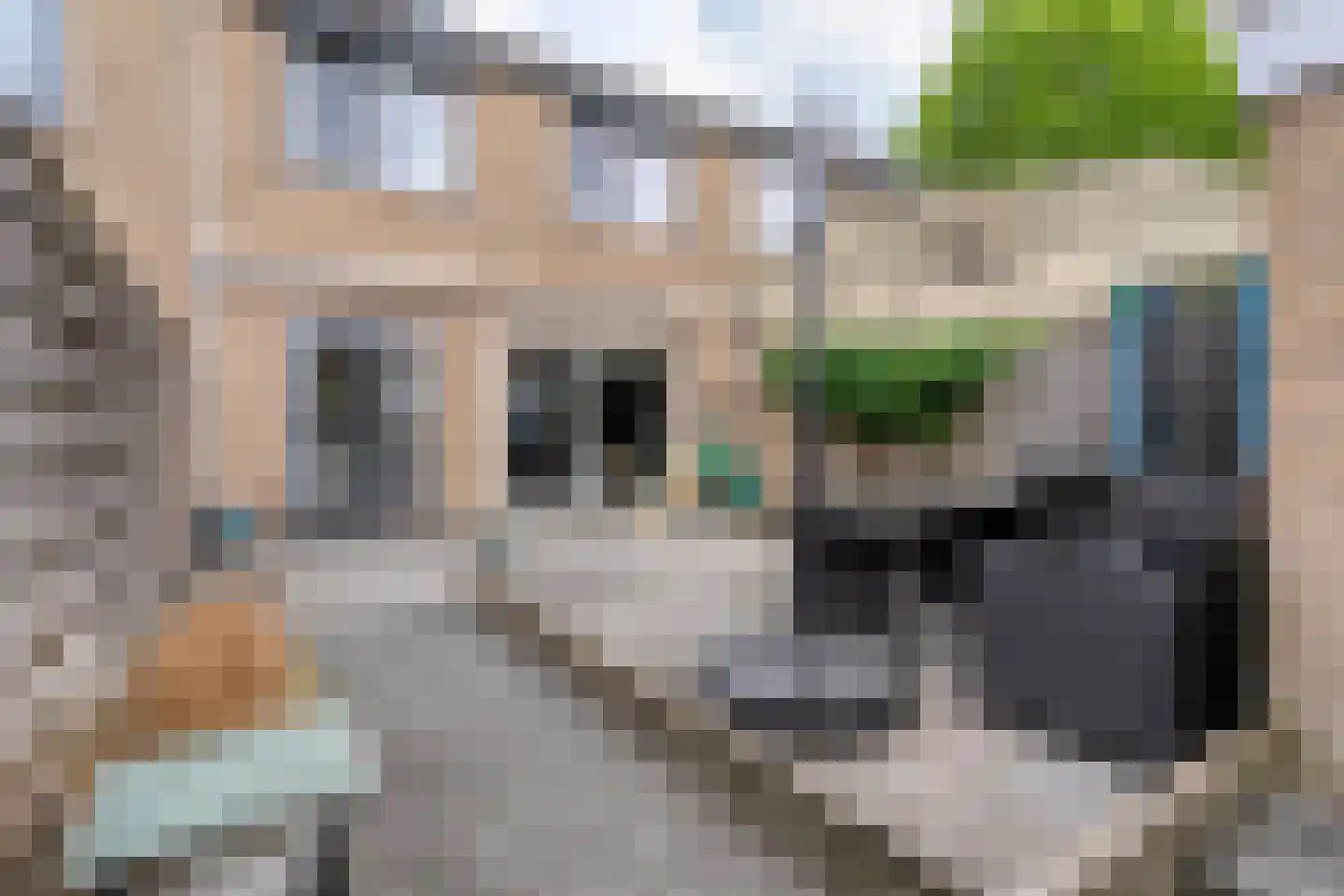 Beukensingel 14 Raalte thumbnail 34