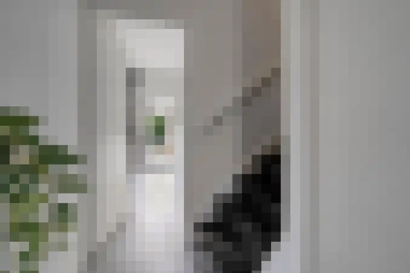 Beukensingel 14 Raalte thumbnail 8