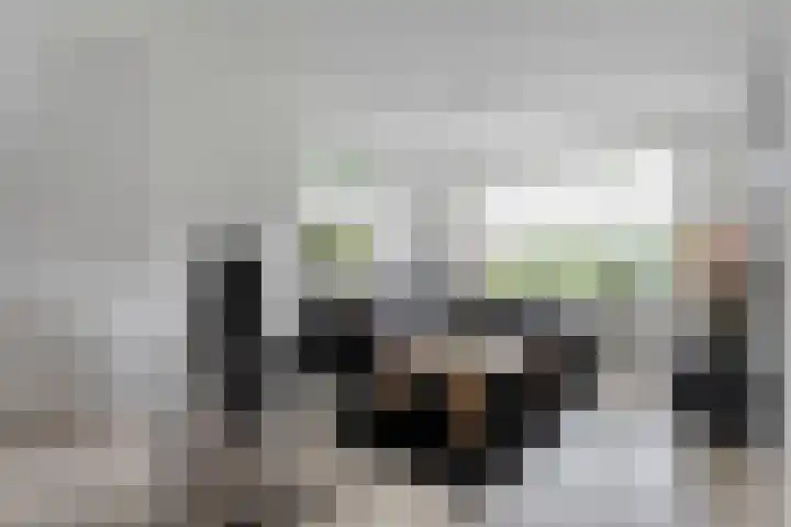 Beukensingel 2 Raalte thumbnail 10