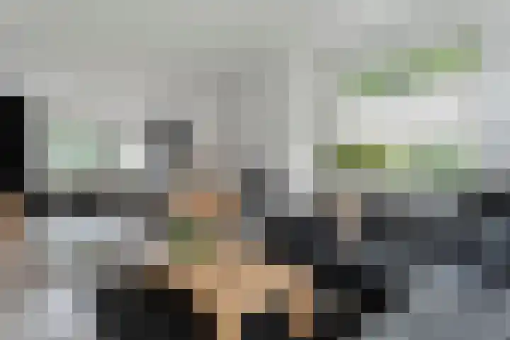 Beukensingel 2 Raalte thumbnail 12