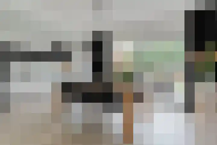 Beukensingel 2 Raalte thumbnail 13
