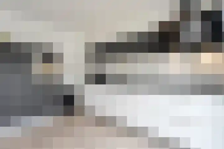 Beukensingel 2 Raalte thumbnail 16