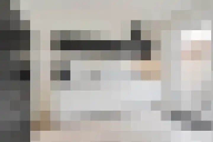 Beukensingel 2 Raalte thumbnail 17