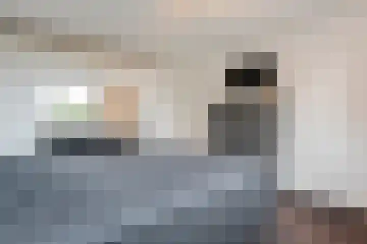 Beukensingel 2 Raalte thumbnail 22