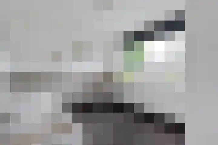 Beukensingel 2 Raalte thumbnail 25
