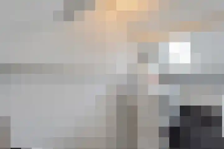 Beukensingel 2 Raalte thumbnail 30