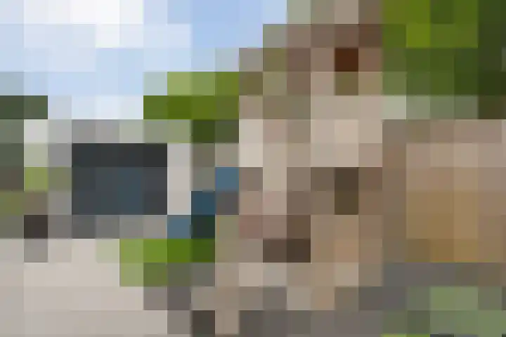 Beukensingel 2 Raalte thumbnail 34