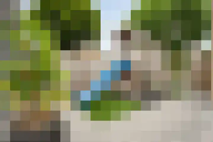 Beukensingel 2 Raalte thumbnail 35