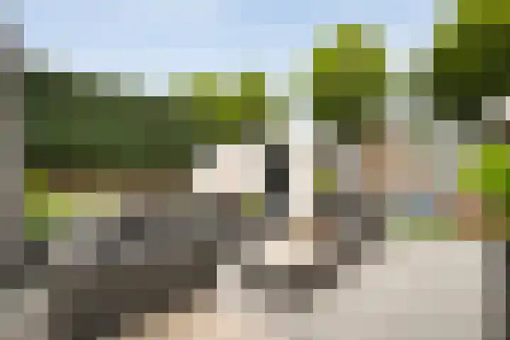 Beukensingel 2 Raalte thumbnail 37