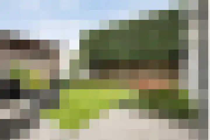 Beukensingel 2 Raalte thumbnail 38