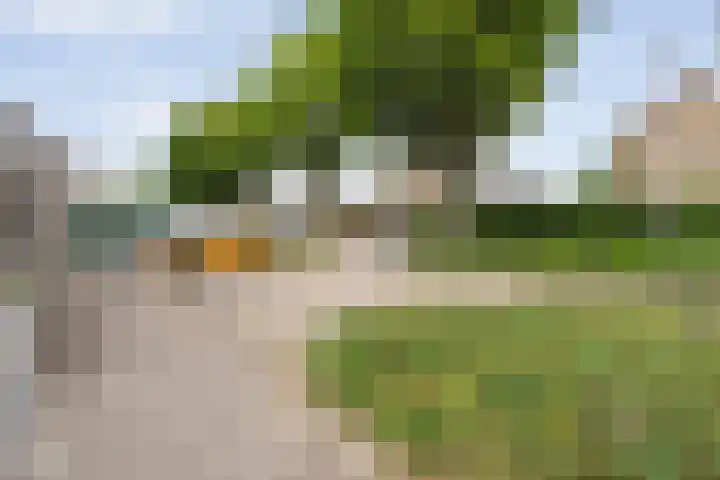 Beukensingel 2 Raalte thumbnail 40