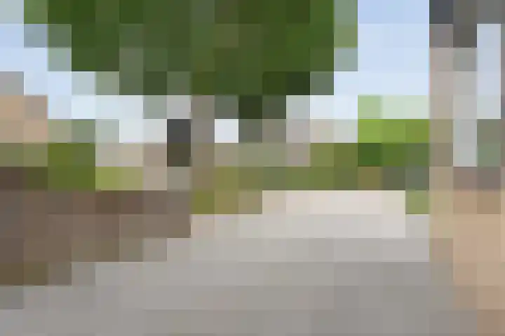 Beukensingel 2 Raalte thumbnail 6