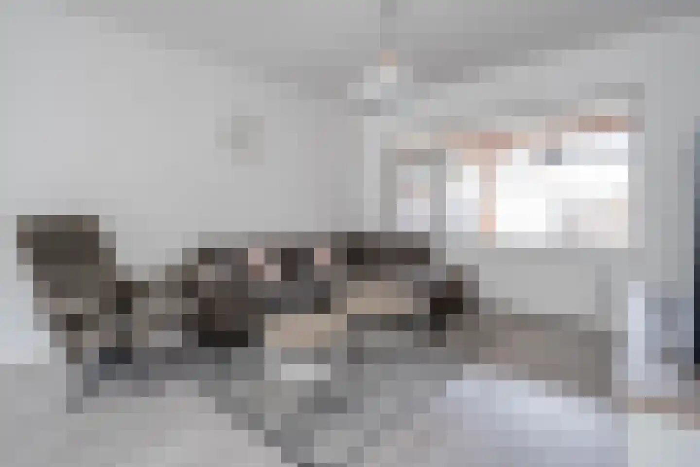 Beukensingel 94 Raalte thumbnail 10