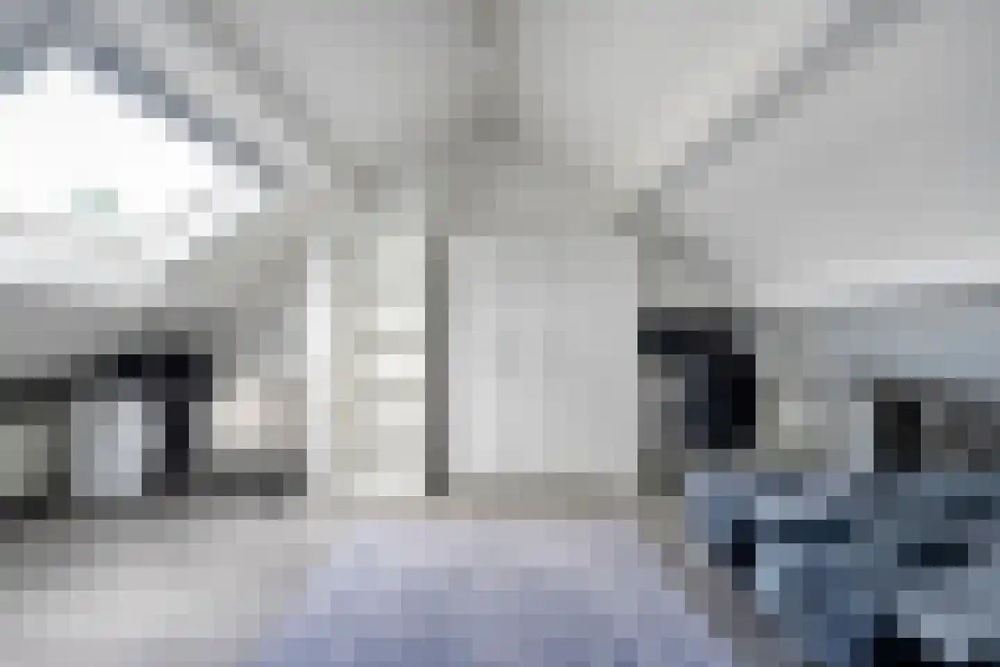 Beukensingel 94 Raalte thumbnail 27