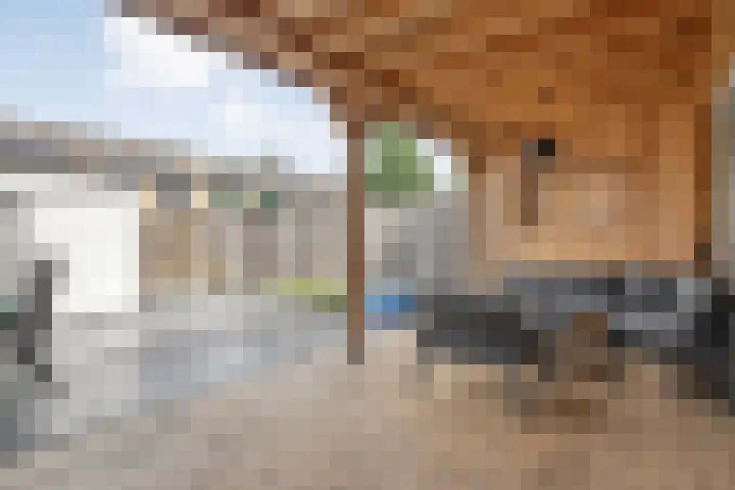Beukensingel 94 Raalte thumbnail 29
