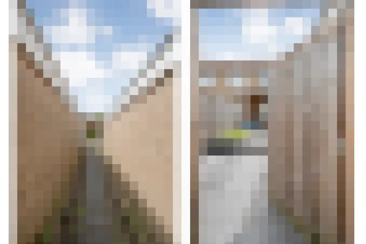 Beukensingel 94 Raalte thumbnail 34