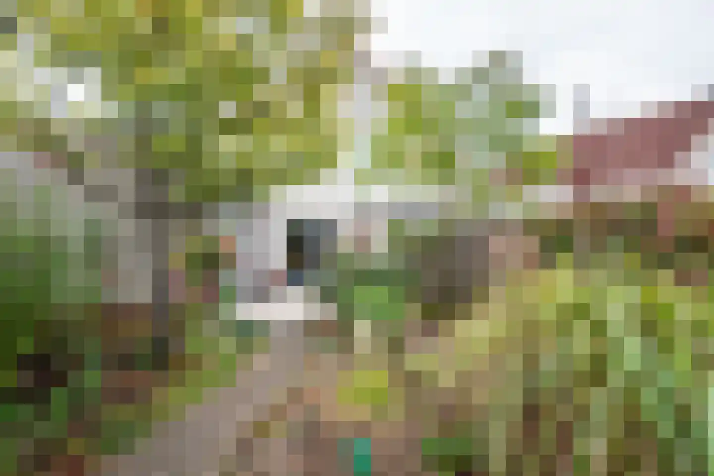 Beukenstraat 13 Gendringen thumbnail 33