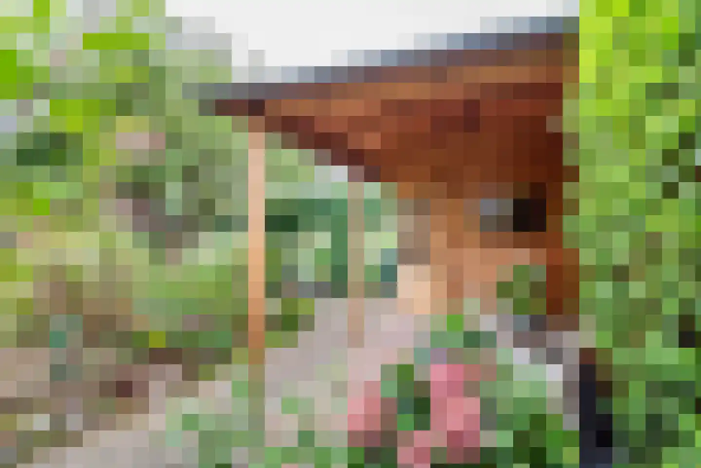 Beukenstraat 13 Gendringen thumbnail 37