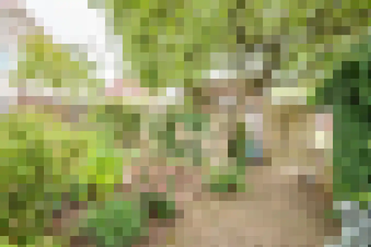 Beukenstraat 13 Gendringen thumbnail 38