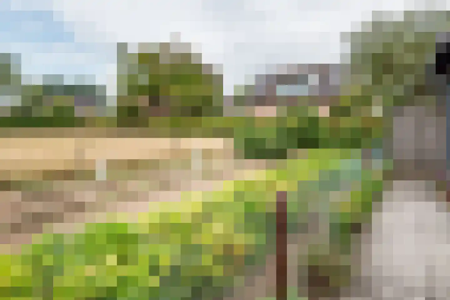 Beukenstraat 13 Gendringen thumbnail 40