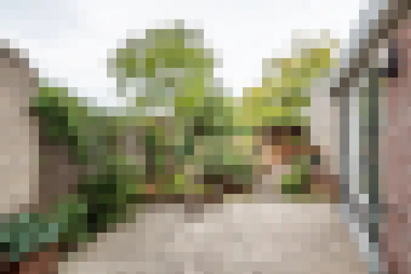 Beukenstraat 13 Gendringen thumbnail 5