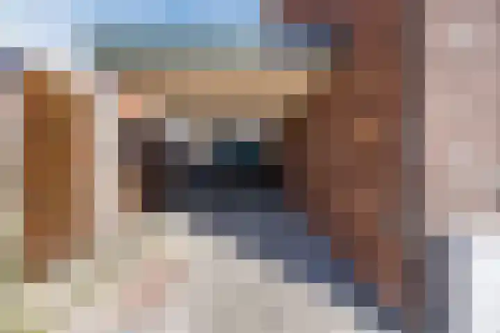 Beukenstraat 14 Sas van Gent thumbnail 33