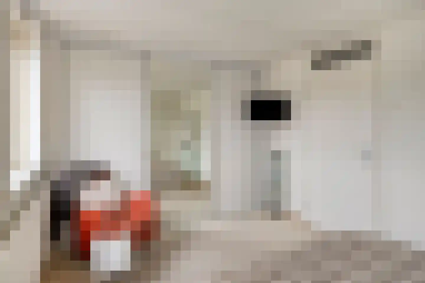 Beukenstraat 141 Goes thumbnail 14