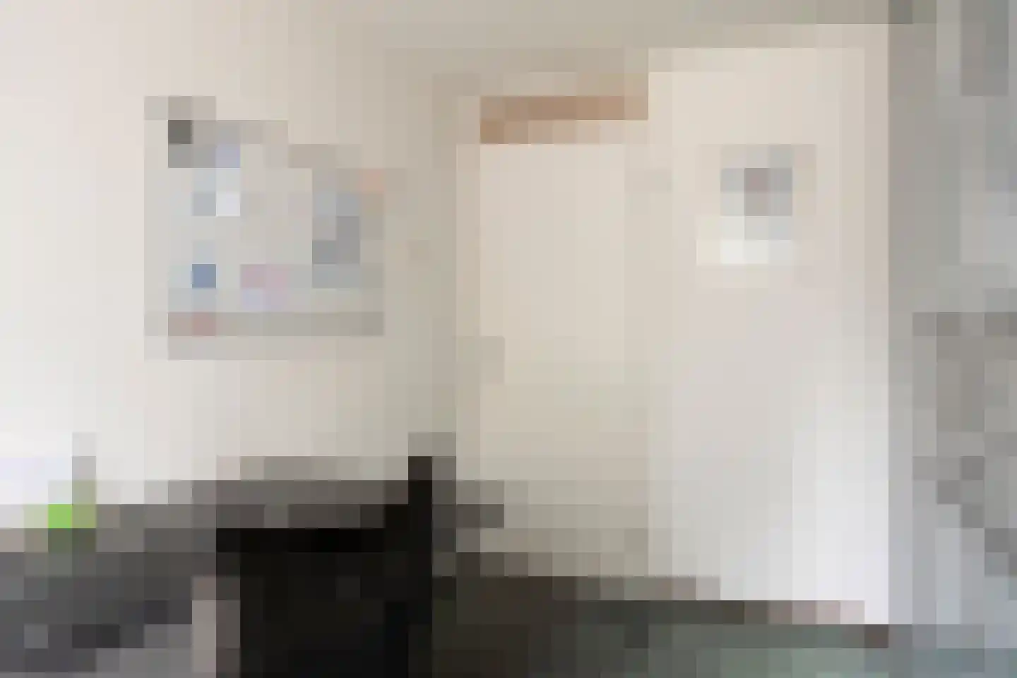 Beukenstraat 141 Goes thumbnail 17