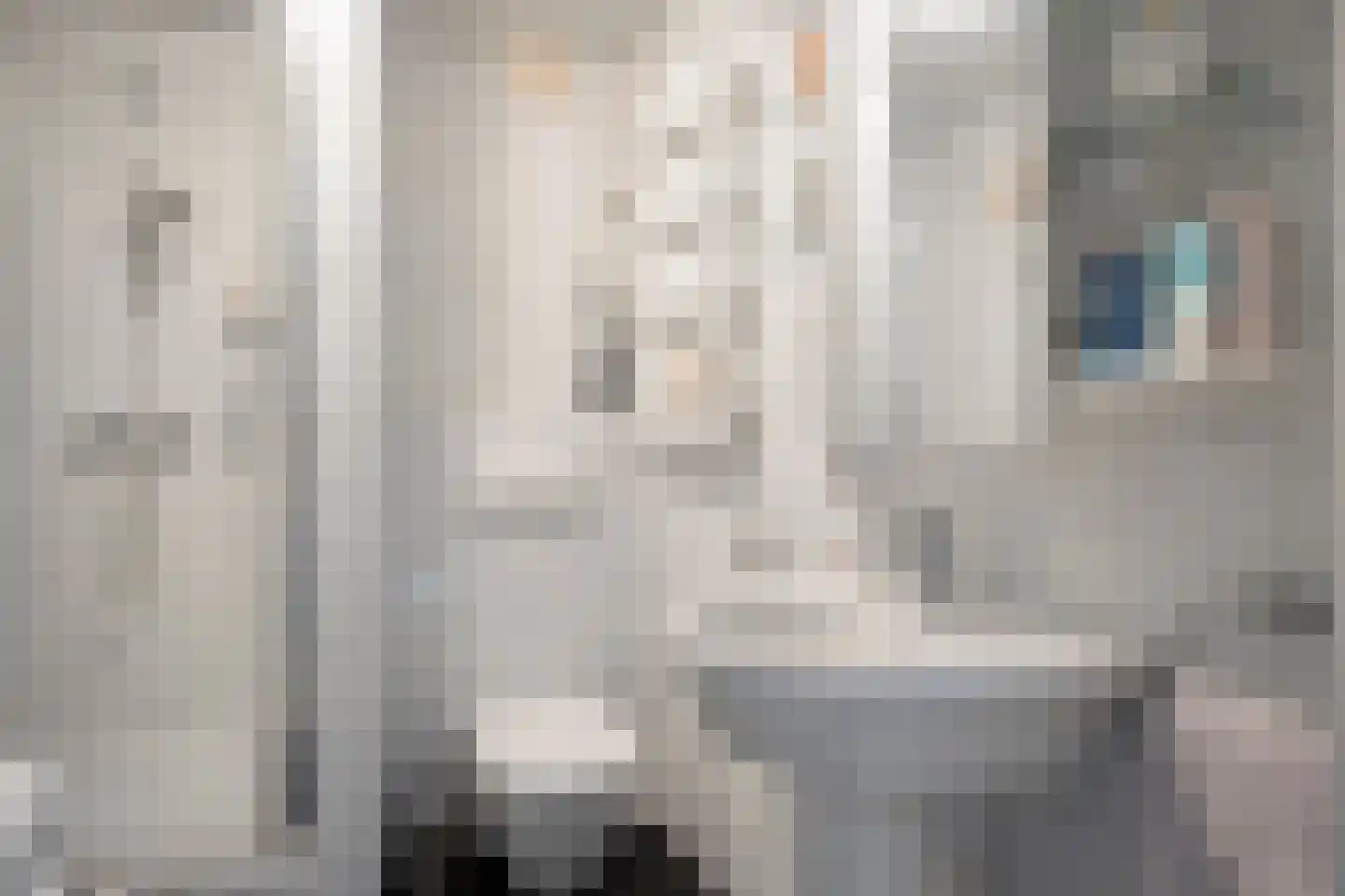 Beukenstraat 141 Goes thumbnail 19