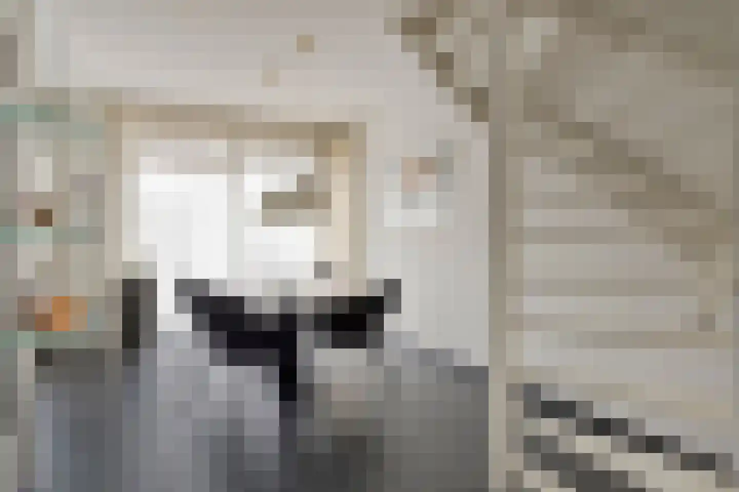 Beukenstraat 141 Goes thumbnail 6