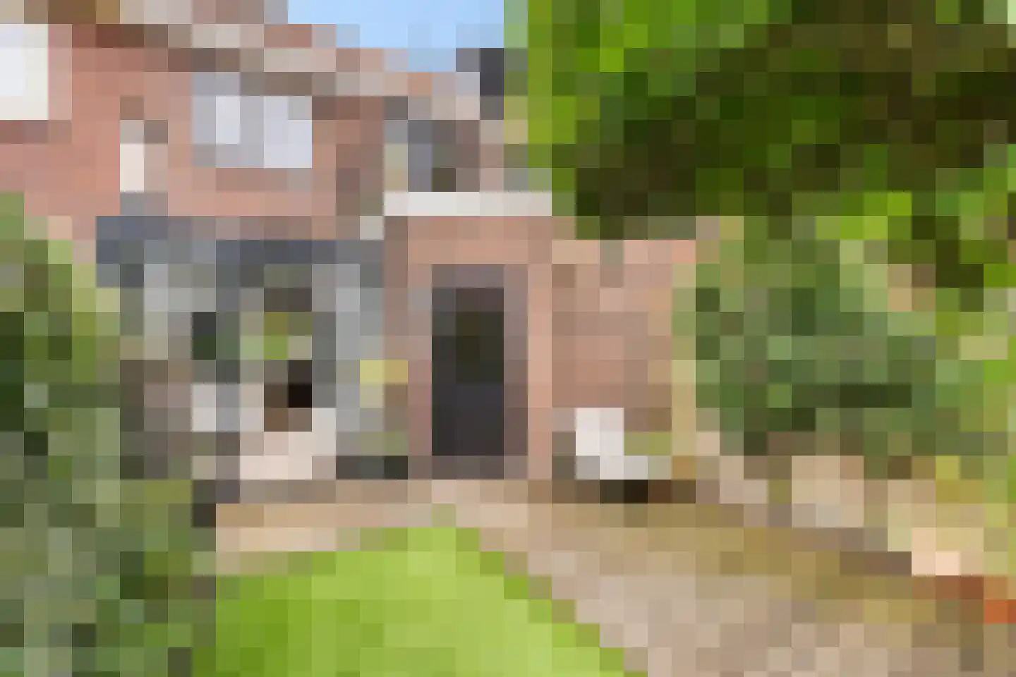 Beukenstraat 144 Zwolle thumbnail 25