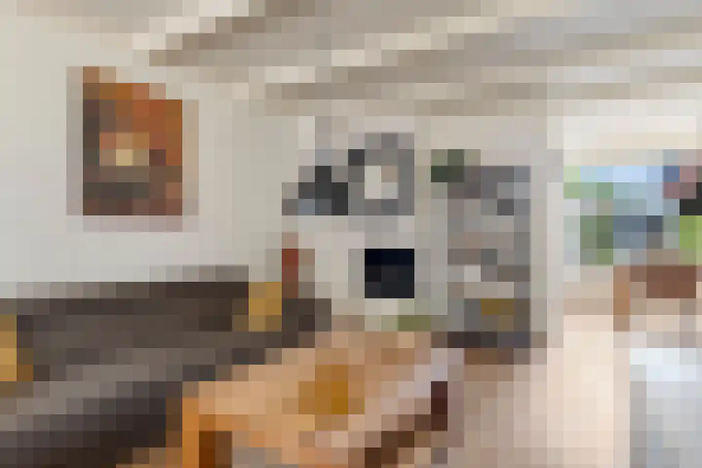 Beukenstraat 151 Goes thumbnail 11