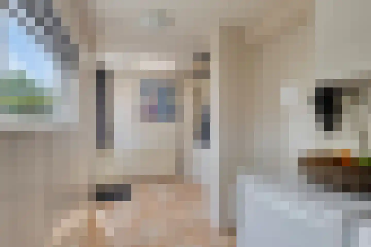 Beukenstraat 151 Goes thumbnail 20