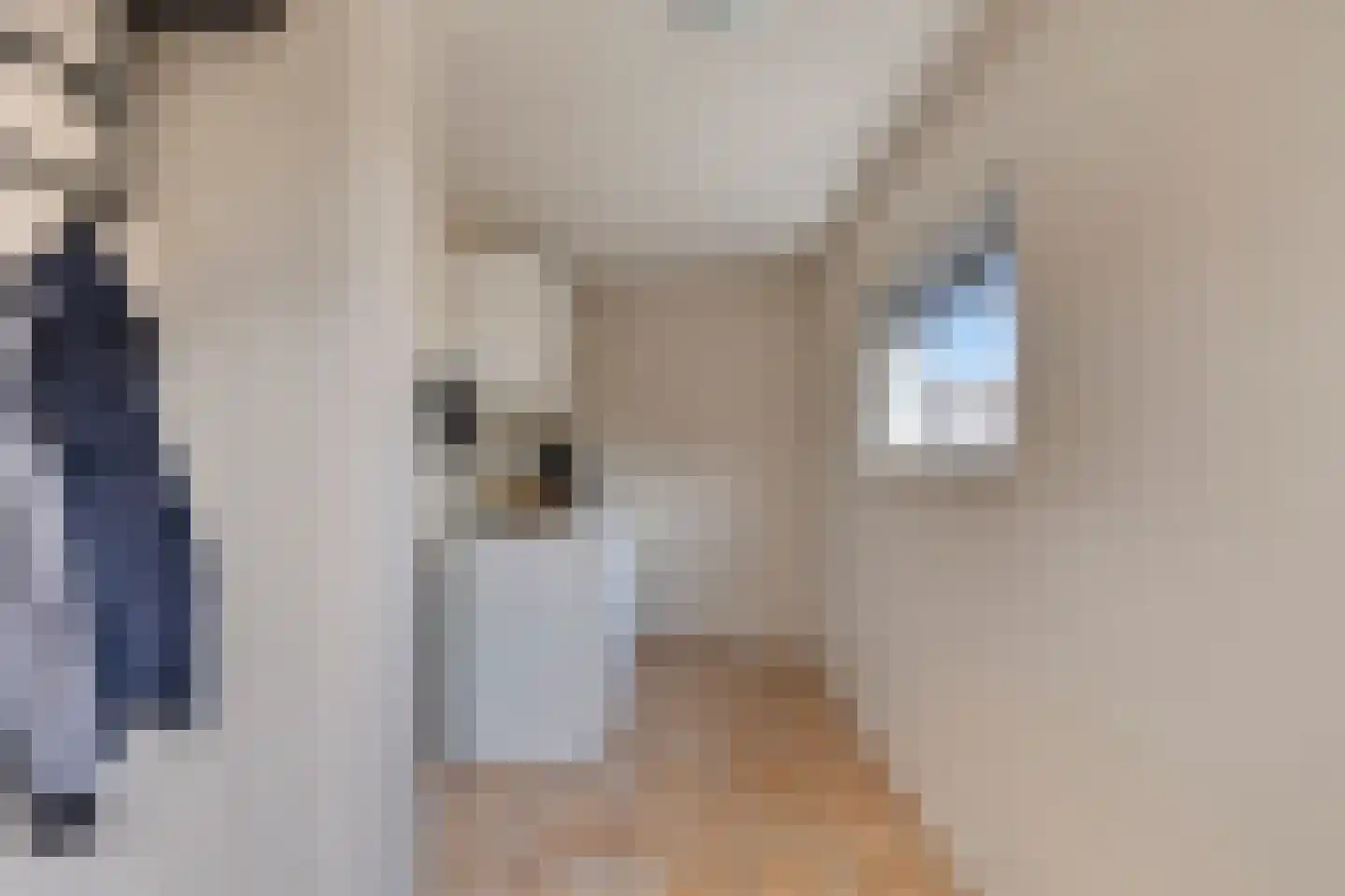 Beukenstraat 151 Goes thumbnail 21