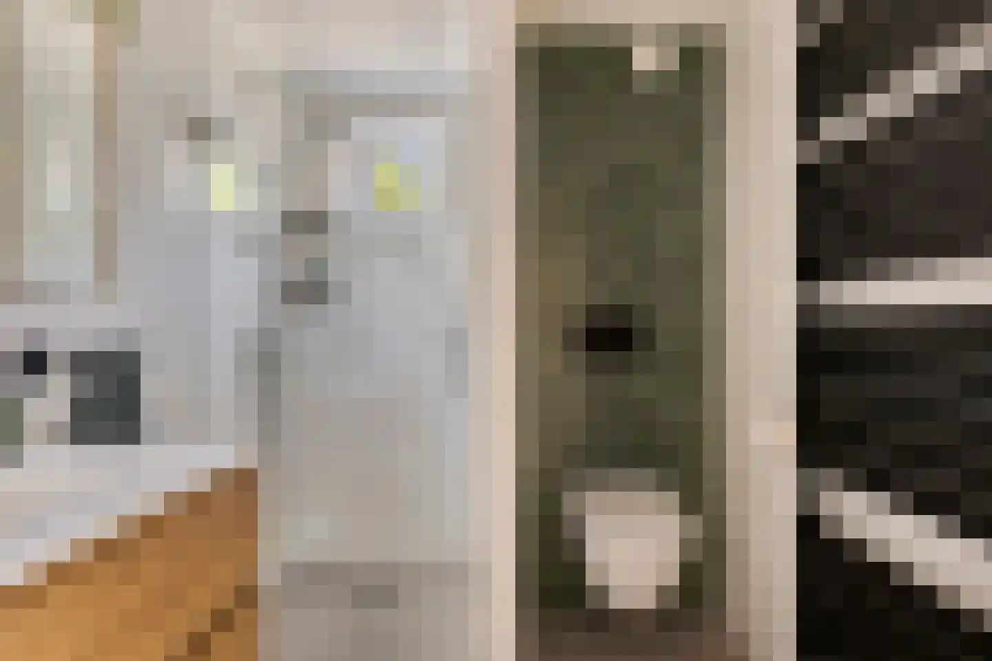 Beukenstraat 151 Goes thumbnail 26