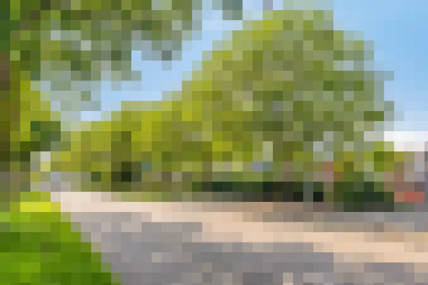 Beukenstraat 151 Goes thumbnail 39